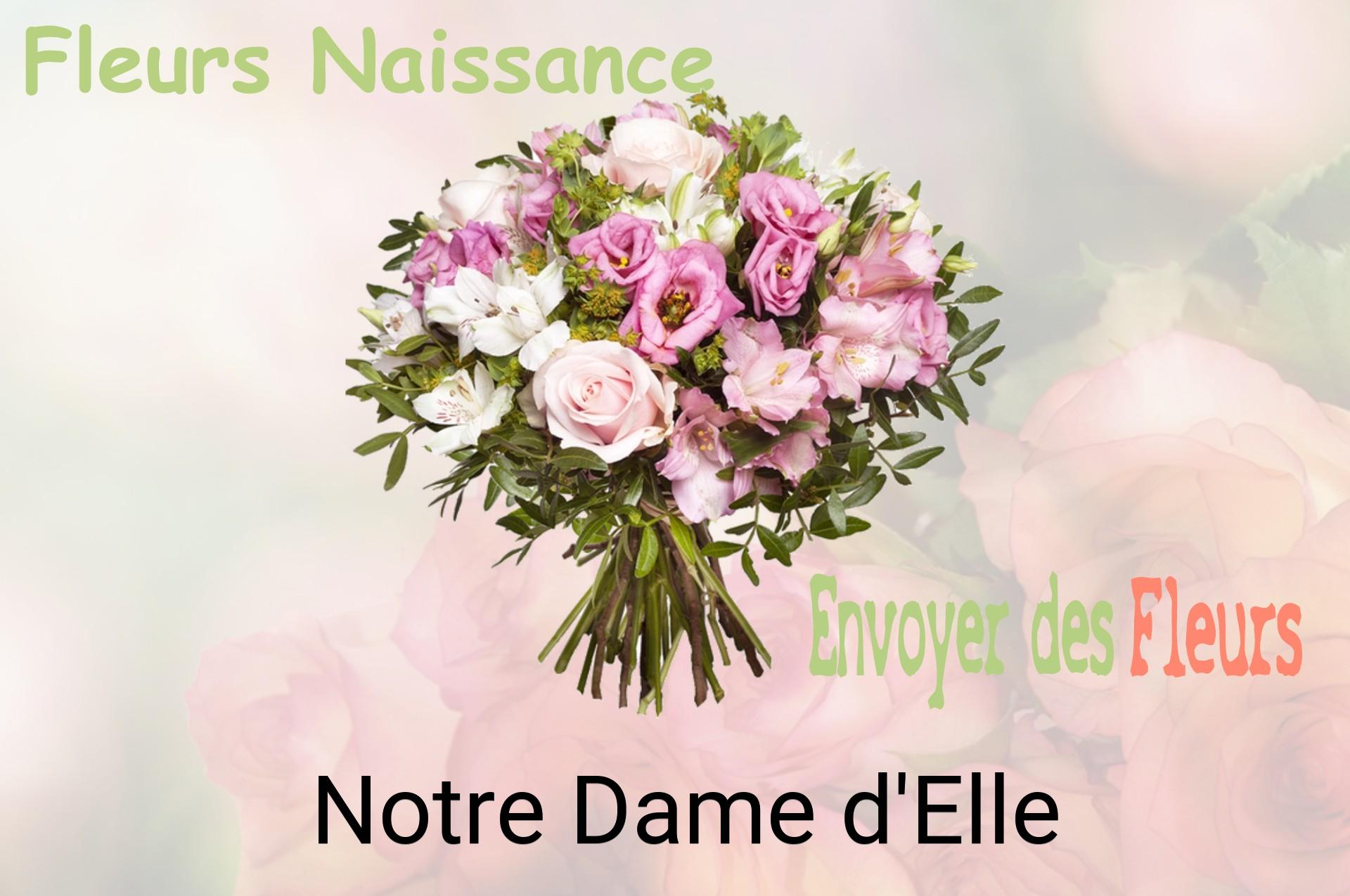 Bouquet de fleurs de naissance livré à Notre-Dame-d'Elle